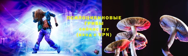 ГАЛЛЮЦИНОГЕННЫЕ ГРИБЫ Струнино
